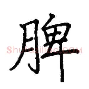 脾