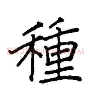 種