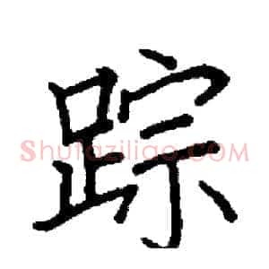 踪