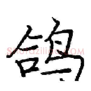 鸽