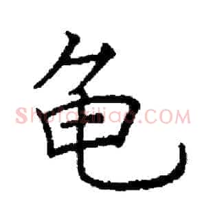 龟