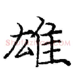 雄
