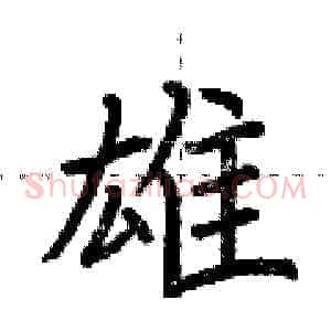 雄