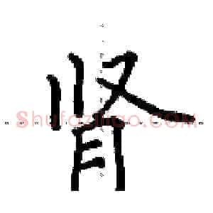 肾