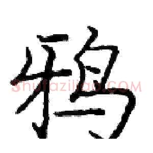鸦