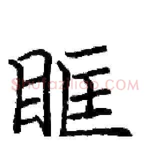 眶