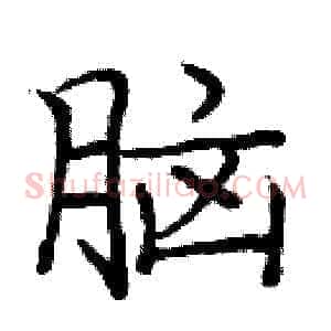 脑