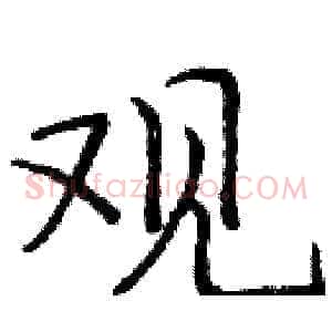 观
