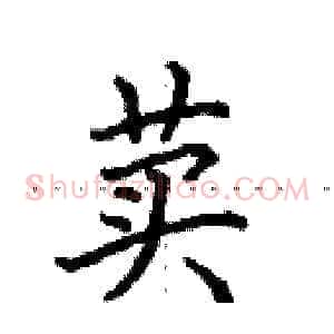 荬