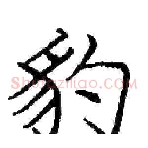 豹