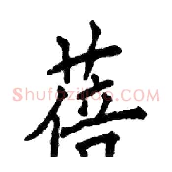 蓓