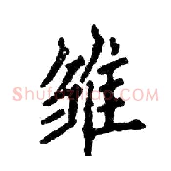 雏