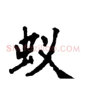 蚁