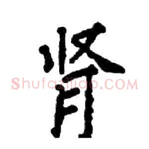 肾