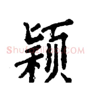 颖
