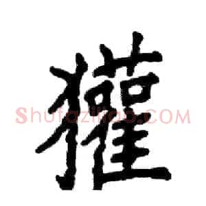 獾