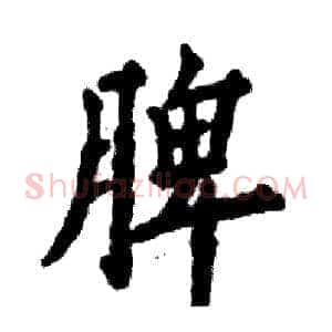 脾