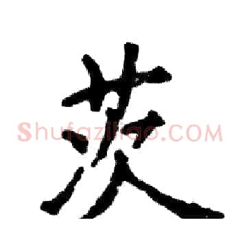 茨