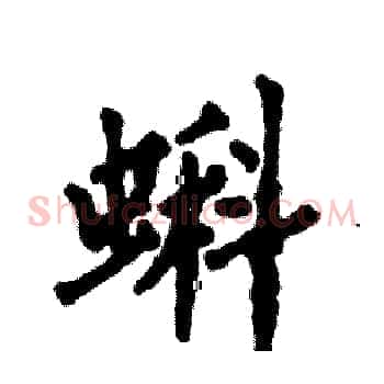 蝌