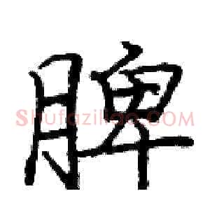 脾