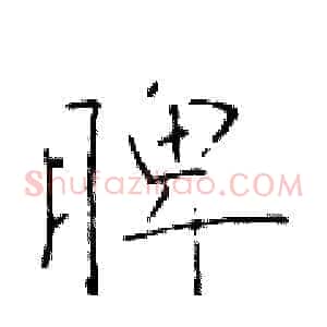 脾