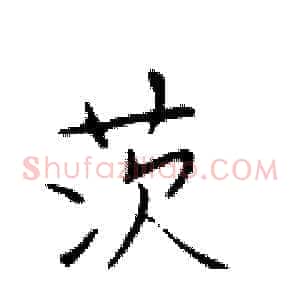 茨
