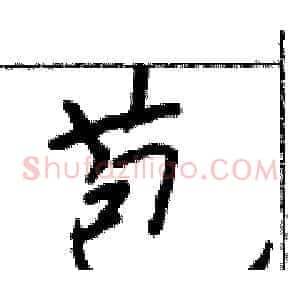 苞