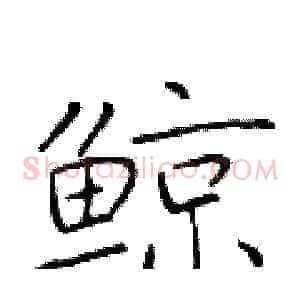 鲸