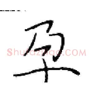孕