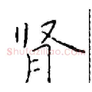 肾