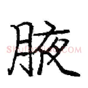 腋