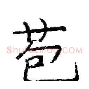 苞