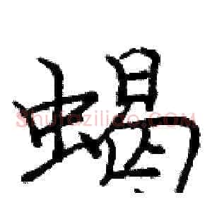 蝎