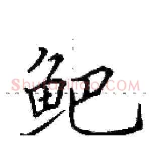 鲃