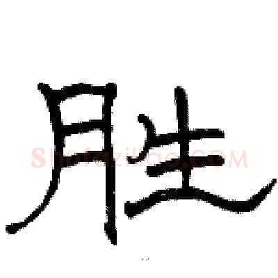 胜硬笔隶书写法,摘自骆恒光硬笔书法字帖