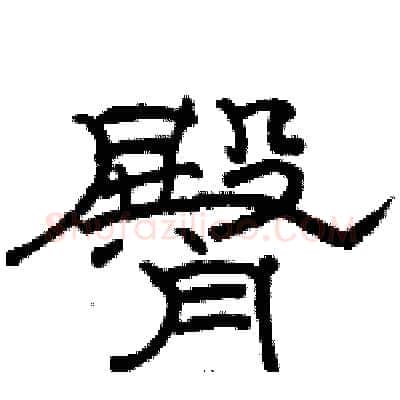 臀硬笔隶书写法,摘自骆恒光硬笔书法字帖