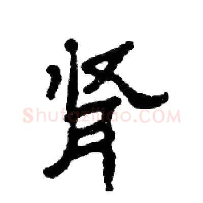 肾硬笔隶书写法,摘自张恒成硬笔书法字帖