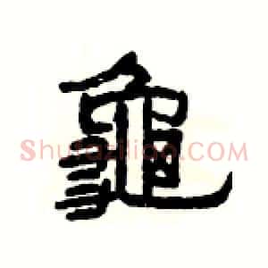 龜