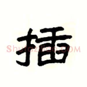 插
