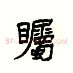 矚