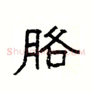 胳