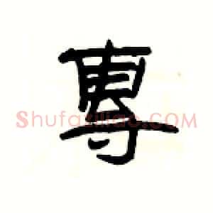 專
