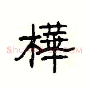 樺
