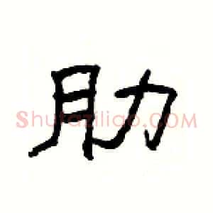 肋