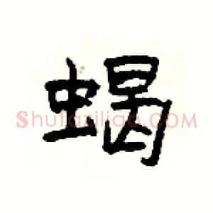 蝎