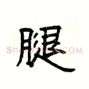 腿