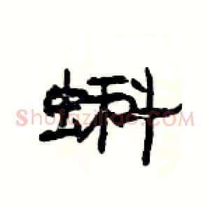 蝌