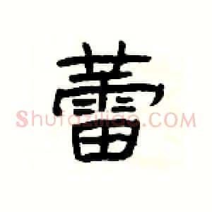 蕾