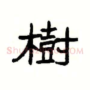 樹