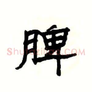 脾